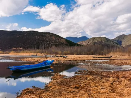 Winning Kazino Mobilā lietotne